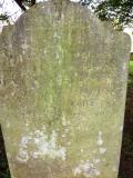 image of grave number 446342